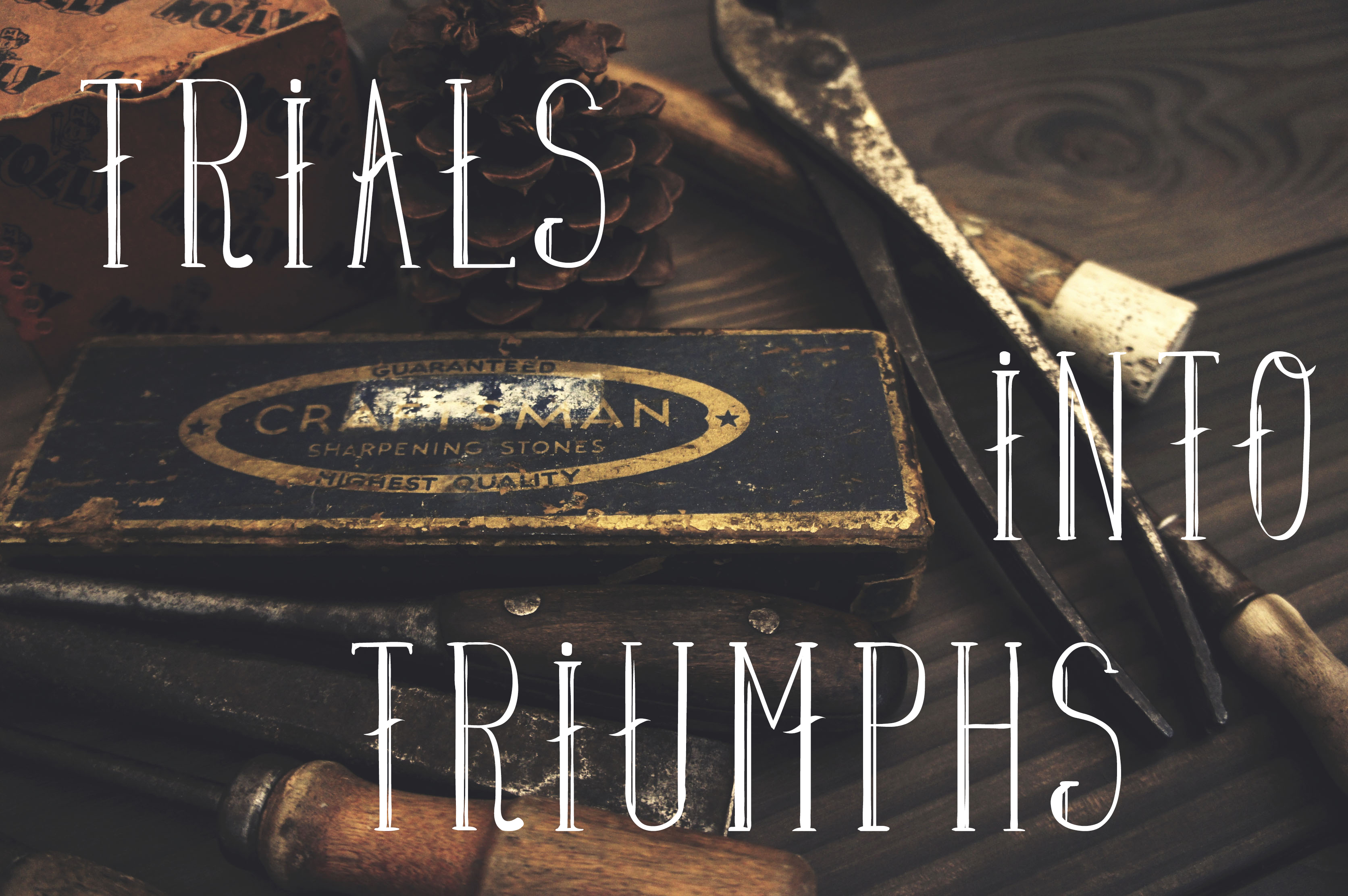 Trials Into Triumphs | The Journey