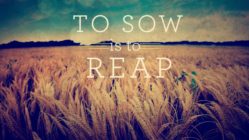 to sow is to reap